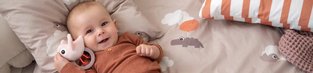 Baby Toys