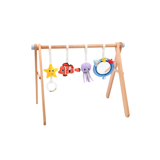 Moover Activity Gym Ocean
