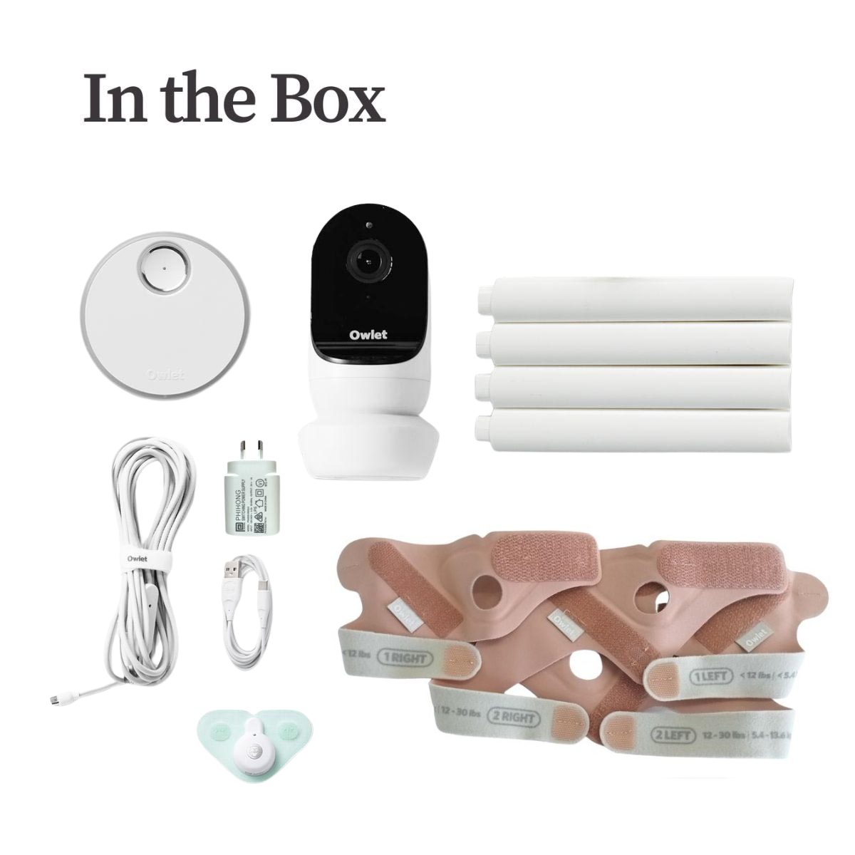 Owlet Dream Sock and Cam 2 Duo Dusty Rose